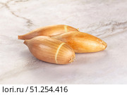 Ripe shallot onion for cooking. Стоковое фото, фотограф Андрей Старостин / Фотобанк Лори
