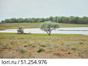 Landscape of steppes or semi-deserts. Sparse vegetation. A reservoir. Стоковое фото, фотограф Наталия Кирсанова / Фотобанк Лори