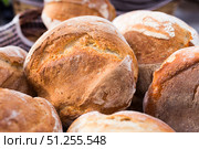 ruddy rolls of fresh warm grain bread. Стоковое фото, фотограф Татьяна Яцевич / Фотобанк Лори