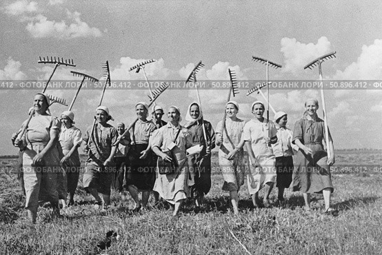 1941 год, колхоз Клишево.  Женщины заняли места ушедших на фронт мужчин. Редакционное фото, фотограф Retro / Фотобанк Лори