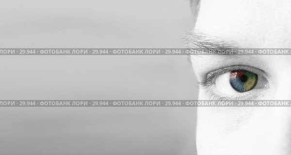 4-х цветный взгляд (серый вариант) Стоковое фото, фотограф Дмитрий Трубников / Фотобанк Лори