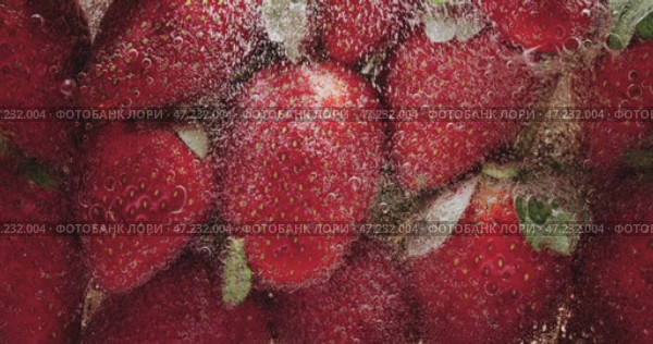 A beautiful arrangement of fresh, juicy strawberries delicately piled with glistening water drops. Стоковое видео, видеограф Владимир Ковальчук / Фотобанк Лори