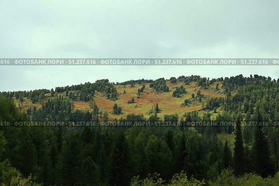 A Beautiful Scenic Mountain Landscape Featuring Lush Greenery. Стоковое фото, фотограф Igor Bastrakov / Фотобанк Лори