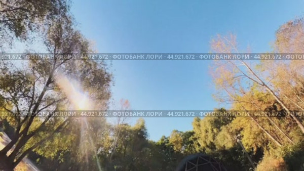 A circular panorama in a summer park in the morning on a sunny day. Стоковое видео, видеограф Ярославский Максим / Фотобанк Лори