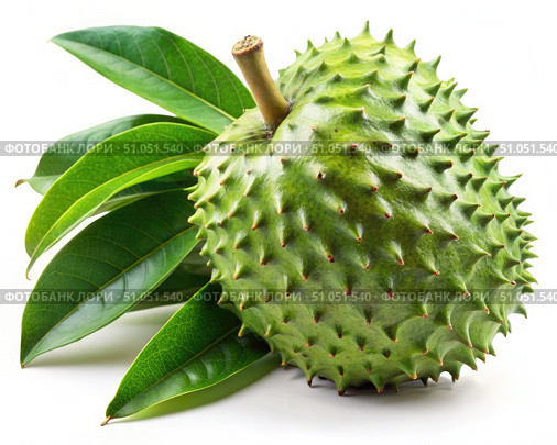 A Closeup of a Sour sop Fruit With Green Leaves Against a White Background. Generative AI. Стоковое AI-изображение, AI-художник Roman Zavorotny / Фотобанк Лори