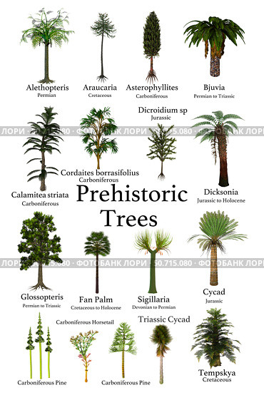 A collection of trees and cycads that lived during prehistoric periods of Earth's history. Стоковое фото, фотограф Corey Ford/Stocktrek Images / ТАСС / Фотобанк Лори