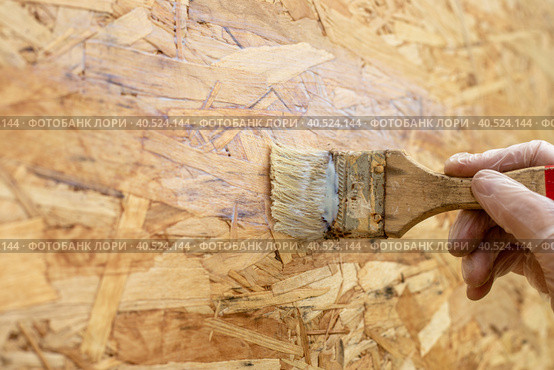 A female hand in a protective glove covers the OSB surface with acrylic varnish using a paint brush. Стоковое фото, фотограф Коханова Наталья / Фотобанк Лори