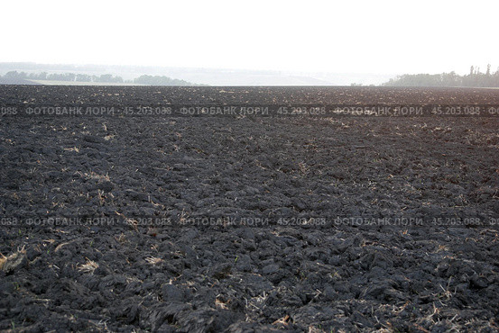 A field where the harvest has been reaped. Стоковое фото, фотограф Andrew_Swarga / Фотобанк Лори