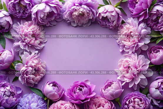 A frame with beautiful peony flowers on a pastel purple background. The layout of the apartment, top view, a place to copy, summer flowers. Стоковое AI-изображение, AI-художник Photojuli / Фотобанк Лори