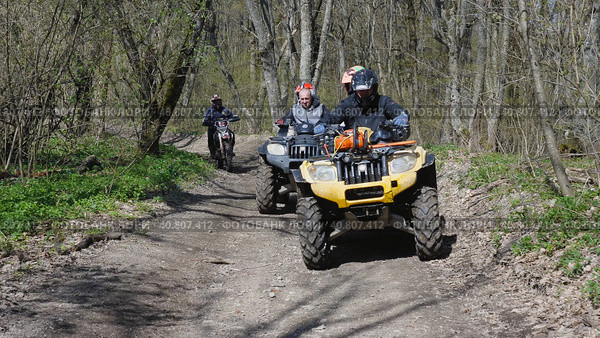 A group of ATV riders and an enduro motorcyclist riding on a dirt road in the spring forest. Front view. Extreme type of outdoor activities. Tourist trips on an quad bike (2022 год). Редакционное фото, фотограф Воловодов Владимир / Фотобанк Лори