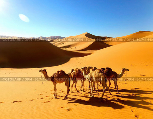 A group of camels are walking across a desert. Стоковое AI-изображение, AI-художник Ярославский Максим / Фотобанк Лори