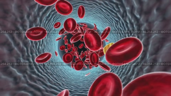 A high-detail 3D medical illustration of red blood cells flowing through an artery with a prominent cholesterol particle, representing cardiovascular health, circulation, and vascular conditions. Стоковое AI-видео, аниматор Башкирова Анна / Фотобанк Лори