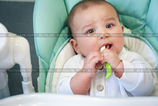 A hungry baby is gnawing on a plastic spoon at the table on a high chair. Teething, whims, itchy gums, introduction of complementary foods. Стоковое фото, фотограф Ольга Симонова / Фотобанк Лори