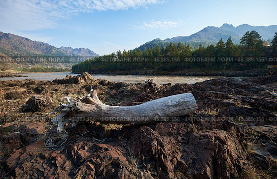 A log lies on the rocks on the bank of the Katun River in Altai. On background Altai village Elanda. Стоковое фото, фотограф Сергей Пристяжнюк (Serg Zastavkin) / Фотобанк Лори