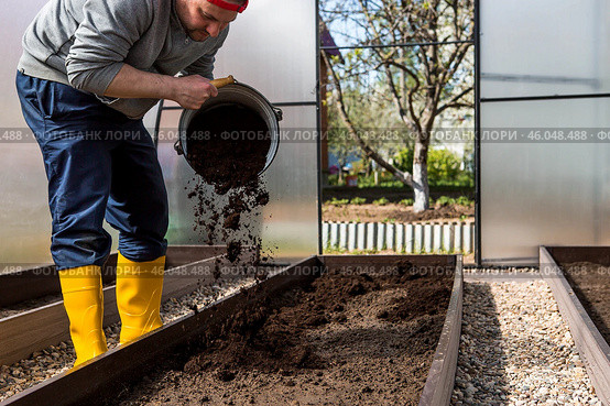 A male farmer pours new soil, soil for a new greenhouse. The concept of spring vegetable planting, greenhouse installation and farming. Стоковое фото, фотограф Photojuli / Фотобанк Лори