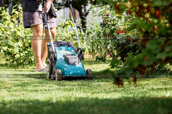 A man with a lawn mower mows the grass in the backyard. Agricultural machinery for garden maintenance. The banner. Стоковое фото, фотограф Photojuli / Фотобанк Лори