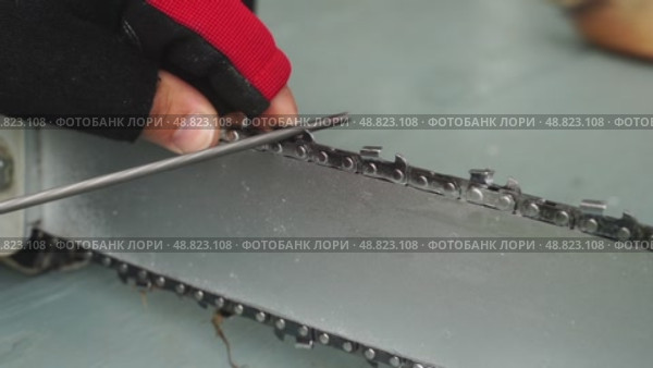 A master sharpens a chainsaw chain before work. Стоковое видео, видеограф Igor Skripachev / Фотобанк Лори