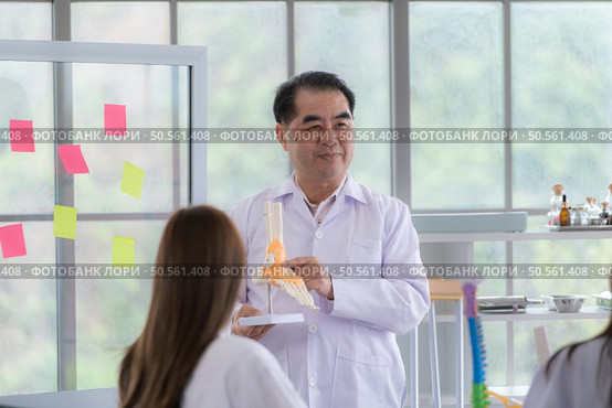 A medical professor is lecturing on a case study related to disease treatment to medical students. Стоковое фото, агентство Ingram Publishing / Фотобанк Лори