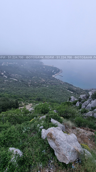 A picturesque view from the Laspi observation deck, located on the southern coast of Crimea. From the heights, a panorama of the coastline stretching into the distance in a light haze opens up. In the foreground, massive rocks, green bushes and mountain grasses are visible. Below, dense forests stretch out, turning into a coastal zone with houses, roads and piers. The sea is calm, bluish-gray, with ships visible on the horizon. The atmosphere is filled with misty softness and a sense of space, and the shooting point itself emphasizes the grandeur of Crimean nature and the harmony of the mountain and sea landscape. Стоковое фото, фотограф Анна Кривицкая / Фотобанк Лори