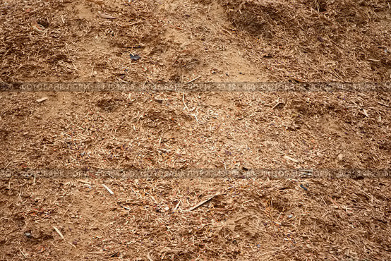 A pile of sawdust. Woodworking waste. Стоковое фото, фотограф Лазаренко Светлана / Фотобанк Лори