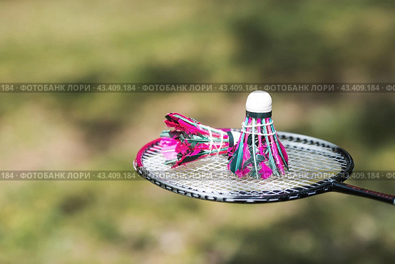 A racket and a shuttlecock on a background of green grass. Playing badminton. A summer sport. Outdoor games. Стоковое фото, фотограф Photojuli / Фотобанк Лори