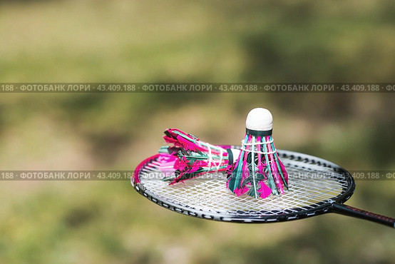 A racket and a shuttlecock on a background of green grass. Playing badminton. A summer sport. Outdoor games. Стоковое фото, фотограф Photojuli / Фотобанк Лори