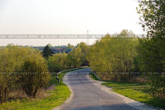 A road with trees on both sides. Стоковое фото, фотограф Надежда Кап / Фотобанк Лори