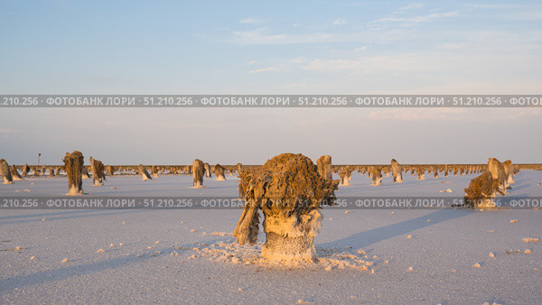 A row of old wooden pillars in the salt lake. Стоковое фото, фотограф Екатерина Золина / Фотобанк Лори