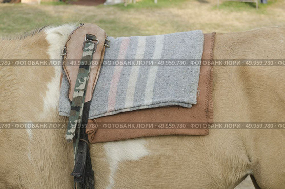 A saddle saddled on the back of a sport horse. Стоковое фото, агентство Ingram Publishing / Фотобанк Лори