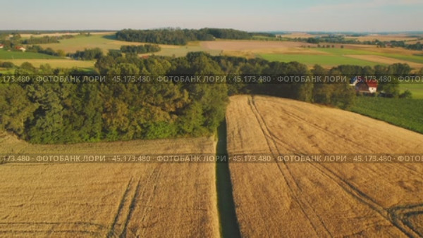 A scenic aerial view of a countryside with patches of forest, golden fields, and scattered houses, bathed in warm evening light, capturing a peaceful rural setting. Стоковое видео, видеограф Igor Tichonow / Фотобанк Лори