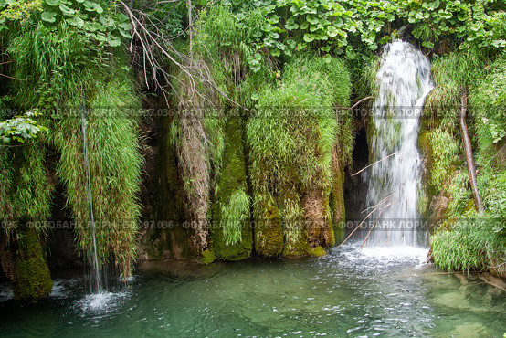 A scenic waterfall cascading into a clear pond, surrounded by lush green vegetation, Плитвицкие озёра, Хорватия. Стоковое фото, фотограф Данила Большаков / Фотобанк Лори