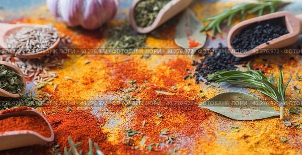 A set of fragrant spices. Turmeric, paprika, dried parsley, dill, rosemary, cumin, garlic and bay leaf on a gray background. Free space for text. Стоковое фото, фотограф Photojuli / Фотобанк Лори