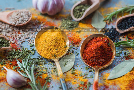 A set of fragrant spices. Turmeric, paprika, dried parsley, dill, rosemary, cumin, garlic, bay leaf and a bottle of oil on a gray background. Free space. Стоковое фото, фотограф Photojuli / Фотобанк Лори