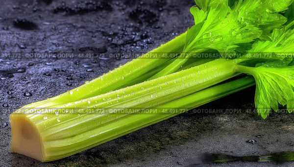 A stalk of celery is shown with a wet surface. Стоковое AI-изображение, AI-художник Ярославский Максим / Фотобанк Лори