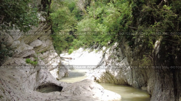 a strange river. a beautiful mountain river among rocks and forests. beautiful stones mountains river water nature. Стоковое видео, видеограф Meshkov Sergey / Фотобанк Лори