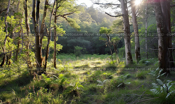 A sultry summer afternoon in the wild forest. The concept of wildlife. Стоковое AI-изображение, AI-художник Ярославский Максим / Фотобанк Лори
