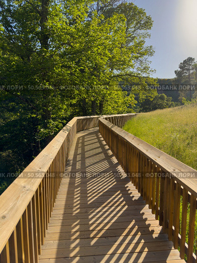 A sunlit wooden bridge, nestled in lush greenery, casts long, intriguing shadows. Guarda - Portugal. Стоковое фото, агентство Ingram Publishing / Фотобанк Лори