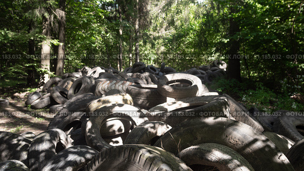Abandoned tires are carelessly littered throughout the lush green forest that surrounds us. Стоковое фото, фотограф Громов Александр / Фотобанк Лори