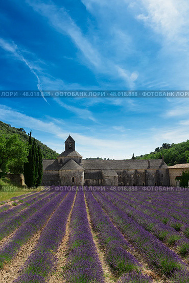 Abbey Senanque and Lavender field, France (2015 год). Стоковое фото, фотограф Anastasy Yarmolovich / Фотобанк Лори
