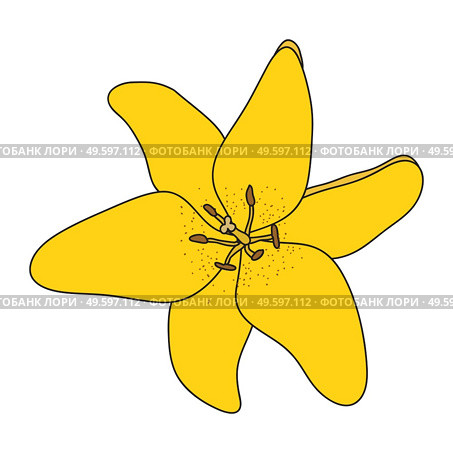 Abstract Hand Drawn Lilly flower. Vector Illustration EPS10. Abstract Hand Drawn Lilly flower. Vector Illustration. Стоковая иллюстрация, агентство Ingram Publishing / Фотобанк Лори