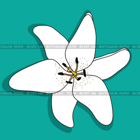 Abstract Hand Drawn Lilly flower. Vector Illustration. EPS10. Abstract Hand Drawn Lilly flower. Vector Illustration. Стоковая иллюстрация, агентство Ingram Publishing / Фотобанк Лори