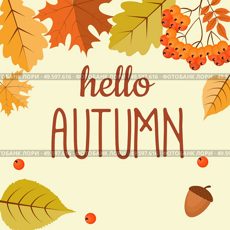 Abstract Hello Autumn Background with Falling Leaves, Rowan and Acorn. Vector Illustration EPS10. Abstract Hello Autumn Background with Falling Leaves, Rowan and Acorn. Vector Illustration. Стоковая иллюстрация, агентство Ingram Publishing / Фотобанк Лори