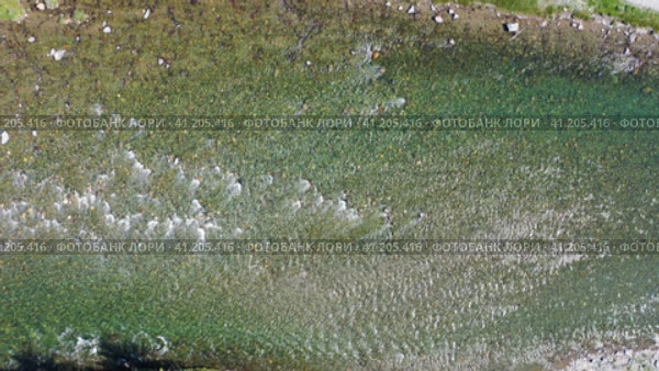 Aerial drone video of Altai river Bashkaus. Camera looks down. Стоковое видео, видеограф Сергей Пристяжнюк (Serg Zastavkin) / Фотобанк Лори