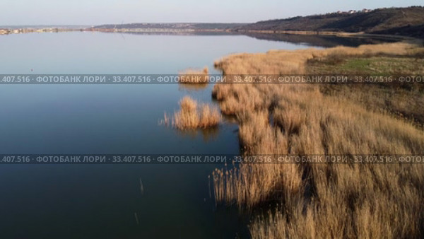 Aerial view flying over coastline, above the reeds and water, in the background the village. Copter moving forwards and downwards. Khadzhibey Estuary, Odessa region, Ukraine. Стоковое видео, видеограф Некрасов Андрей / Фотобанк Лори