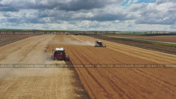 Aerial view of combine on harvest field. Стоковое видео, видеограф Михаил Коханчиков / Фотобанк Лори