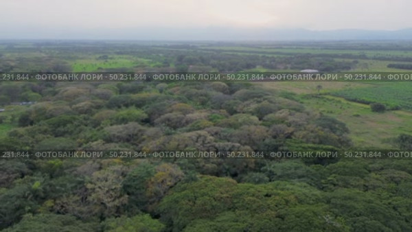 Aerial View of Forested Plains and Grasslands, Drone Footage of Savanna and Scattered Trees, Tropical Woodland in Open Plains, Aerial Shot. Стоковое видео, видеограф ALEJANDRO PEREZ ALVARES / Фотобанк Лори