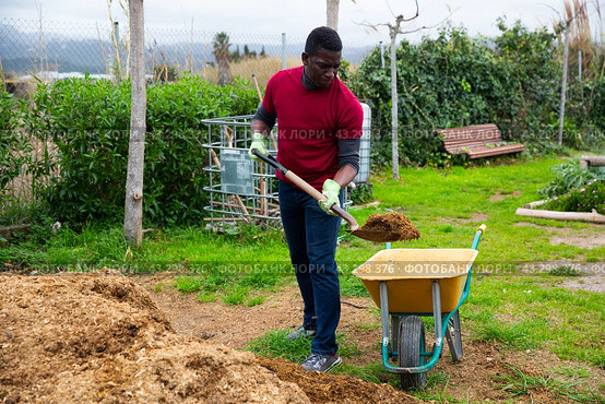 African man digging manure to fertilize soil. Стоковое фото, фотограф Яков Филимонов / Фотобанк Лори