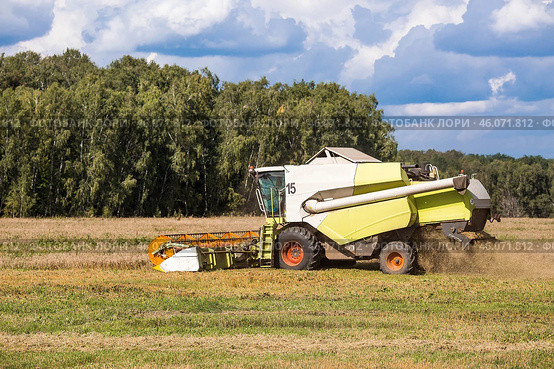 Agricultural industry. A combine harvester harvests from the field. The concept of processing and collection . Rural landscape. Agricultural machinery. Стоковое фото, фотограф Photojuli / Фотобанк Лори