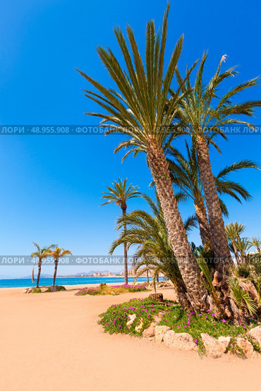 Aguilas beach Murcia Poniente bay at Mediterranean sea of Spain. Стоковое фото, агентство Ingram Publishing / Фотобанк Лори