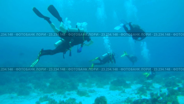 Аквалангисты в Красном море. Стоковое видео, видеограф Некрасов Андрей / Фотобанк Лори